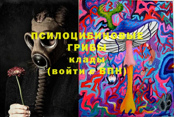 прущий лед Липки