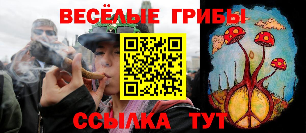 Псилоцибиновые грибы Psilocybe  Вход с VPN  где продают наркотики  Карасук 